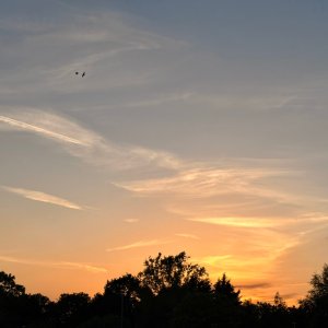 IMG_6807.jpeg