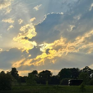 IMG_6896.jpeg