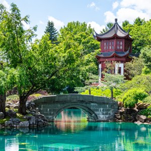 Chinese Garden.jpg