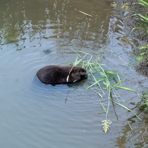 IMG_2043.jpeg