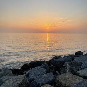IMG_4911.jpeg