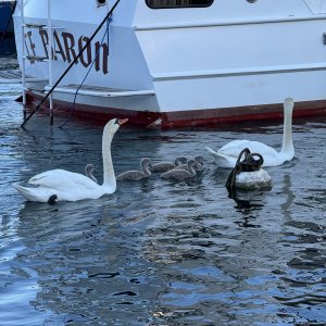 IMG_012250.jpeg
