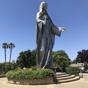 IMG_5214.jpeg