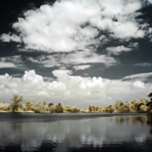 The Lake at Hever IR.JPG