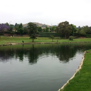 IMG_9158.jpeg