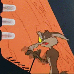 IMG_3244.gif