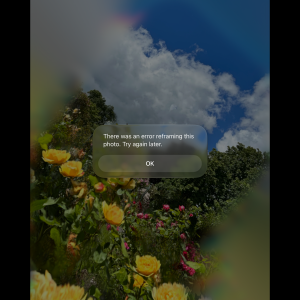 IMG_1130.png