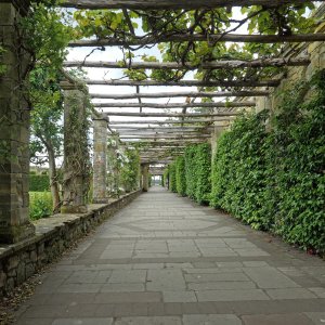 Pergola Walk at Hever.JPG