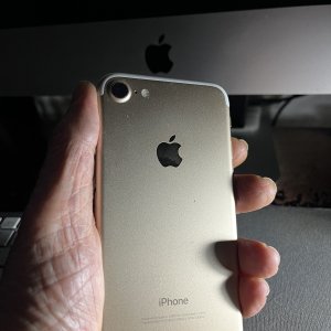 IMG_1569.jpeg