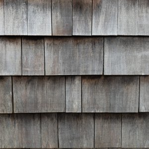 Shingles20260521.jpg