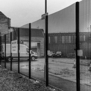 IMG_2423_SnapseedCopy.jpeg