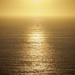 Golden Gate Boat.jpg