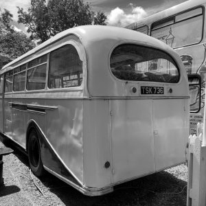 IMG_8065.jpeg