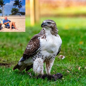 20191108-fathers-day-2026-2.jpg