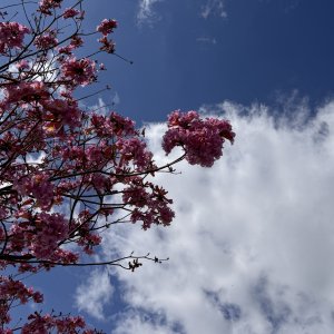 IMG_5724.jpeg