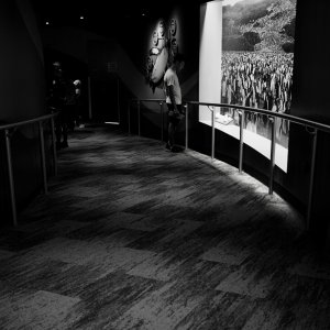 P6170182.jpeg