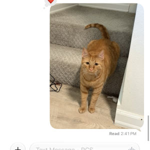 1782164724561.png