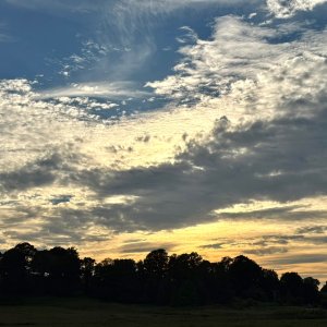 IMG_8368.jpeg