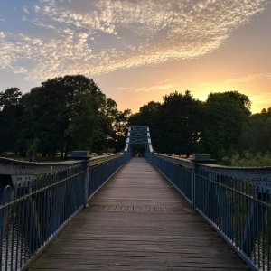 IMG_8606.jpeg