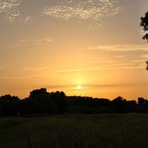 IMG_8600.jpeg