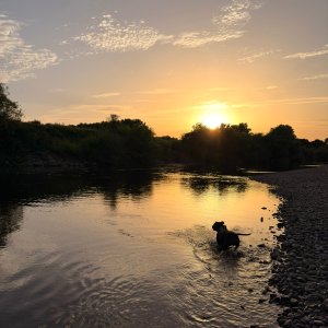IMG_8589.jpeg