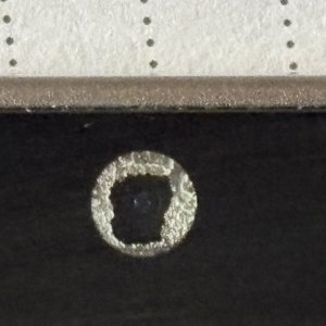 IMG_4119.jpeg