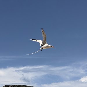 IMG_6781.jpeg