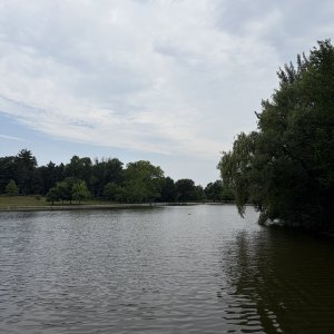 IMG_3465.jpeg
