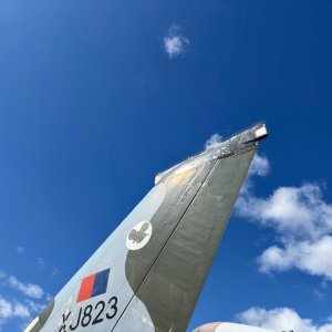 IMG_8980.jpeg