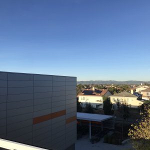 IMG_3369.jpeg