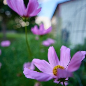P7030343.jpg