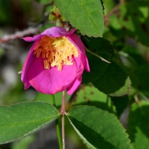 DSC_0434.jpg