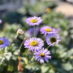 IMG_0782.jpeg