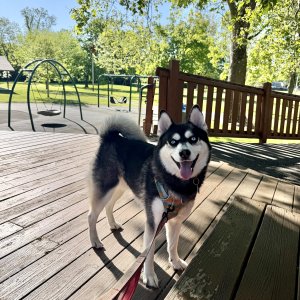 IMG_6417.jpeg