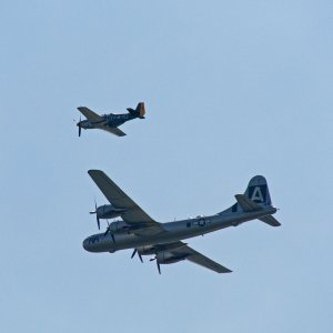 P7040238_DxOcrop2k.jpg