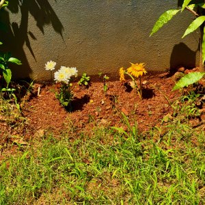 IMG_0018.jpeg