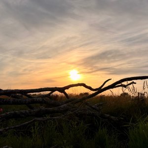 IMG_9326.jpeg