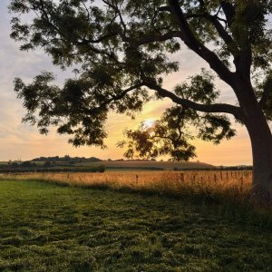 IMG_9314.jpeg