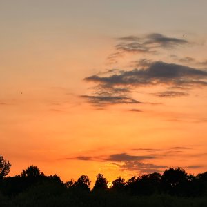 IMG_9546.jpeg