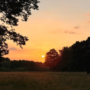 IMG_9544.jpeg