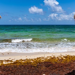 Cozumel.jpg