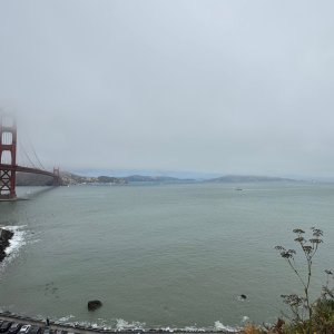 IMG_2755.jpeg