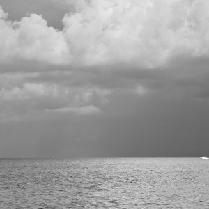 DSC_0264.jpeg