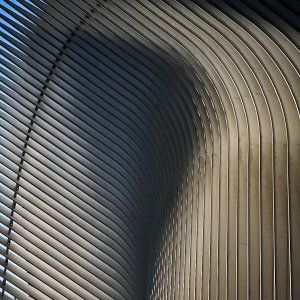 2026-07-17 ~ A7C06399.jpg