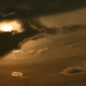 2026-07-18 ~ R52_3350.jpg