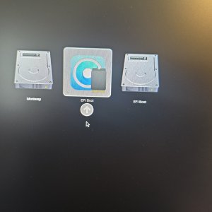 IMG-20260719-WA0007.jpeg