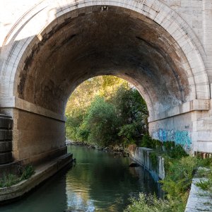 Tiber.jpg