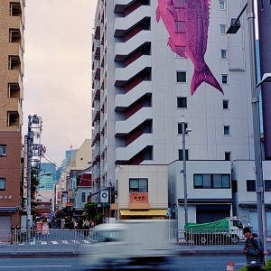 IMG_6914.jpeg
