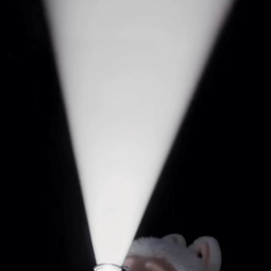 IMG_4372.png