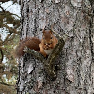 IMG_8783.jpeg